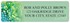 Inspirational Daisies Address Labels Image 4