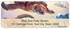 Steve Sundram Sea Turtles Address Labels Image 2